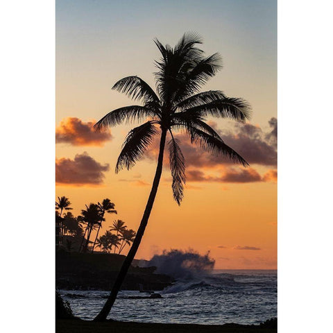 Coconut palm trees silhouetted against vivid sunrise clouds at Poipu Beach in Kauai-Hawaii-USA Black Modern Wood Framed Art Print with Double Matting by Haney, Chuck