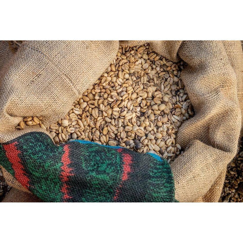 Kauai Coffee beans drying-Kauai-Hawaii-USA Gold Ornate Wood Framed Art Print with Double Matting by Engelbrecht, Jim