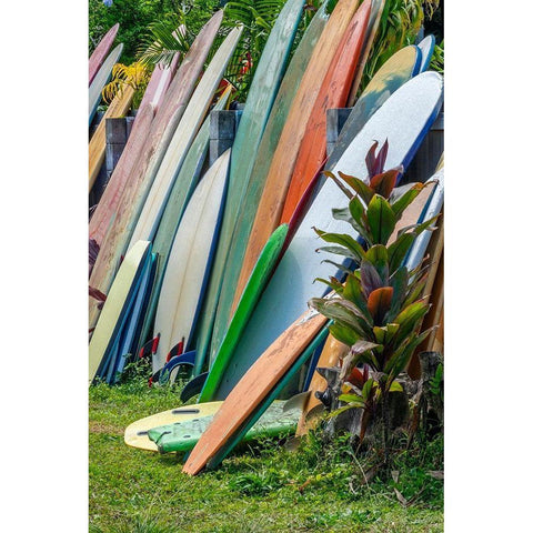 Surfboards and bodyboards-Kauai-Hawaii-USA Black Modern Wood Framed Art Print by Engelbrecht, Jim
