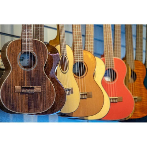 Ukulele in music store-Kauai-Hawaii-USA Black Modern Wood Framed Art Print with Double Matting by Engelbrecht, Jim