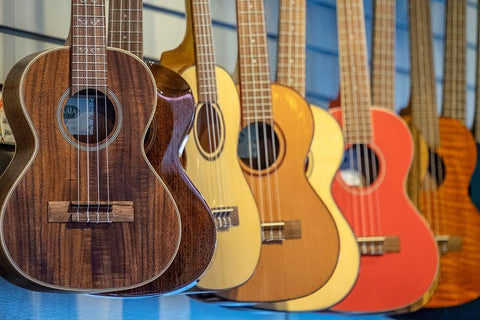 Ukulele in music store-Kauai-Hawaii-USA White Modern Wood Framed Art Print with Double Matting by Engelbrecht, Jim