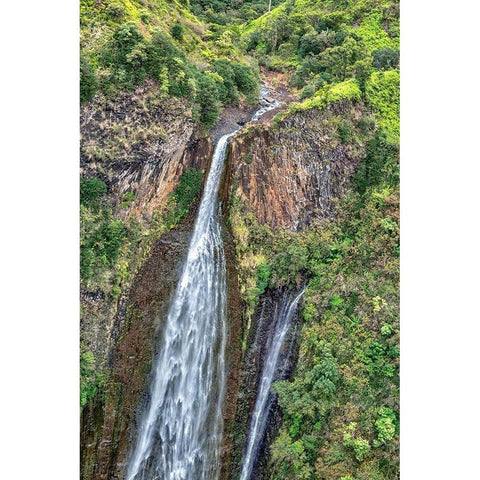 Jurassic Falls-Kauai-Hawaii-USA White Modern Wood Framed Art Print by Engelbrecht, Lisa S.