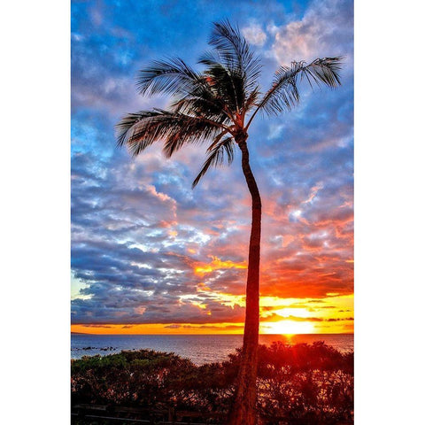 Sunset on Wailea Beach-Maui-Hawaii-USA Black Modern Wood Framed Art Print with Double Matting by Engelbrecht, Lisa S.