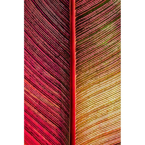 Tropical Vibes White Modern Wood Framed Art Print by Engelbrecht, Lisa S.