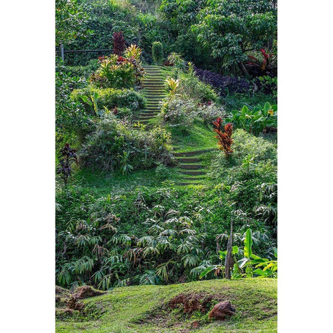Princeville Botanical Garden-Princeville-Kauai-Hawaii Black Modern Wood Framed Art Print with Double Matting by Engelbrecht, Lisa S.