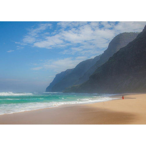 Hawaii-Kauai-Polihale State Park walking along the beach Black Modern Wood Framed Art Print by Gulin, Sylvia