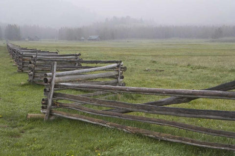 Idaho, Sawtooth Mts Fence in misty farm country Black Ornate Wood Framed Art Print with Double Matting by Flaherty, Dennis