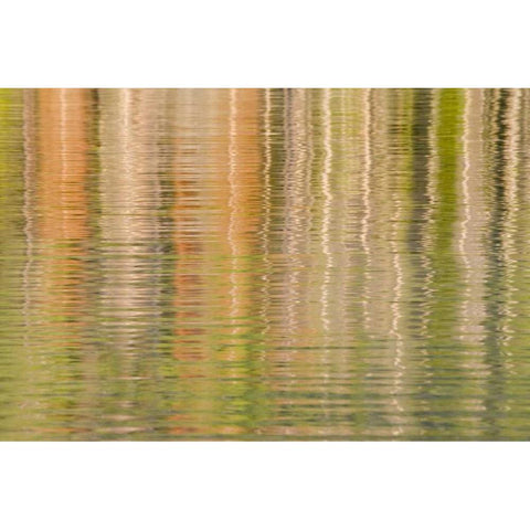 Idaho Fall reflections ripple on Redfish Lake Gold Ornate Wood Framed Art Print with Double Matting by Paulson, Don