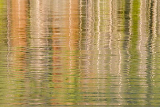 Image Only