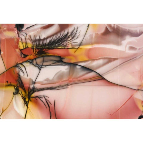 USA, Idaho Close-up of Willow Creek Jasper stone Black Modern Wood Framed Art Print by Kirkland, Dennis