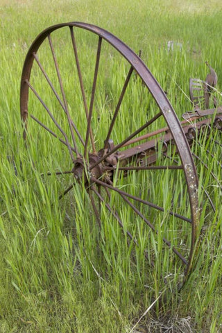 Idaho Abandoned farm equipment White Modern Wood Framed Art Print with Double Matting by Grall, Don