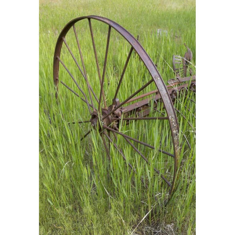 Idaho Abandoned farm equipment Gold Ornate Wood Framed Art Print with Double Matting by Grall, Don