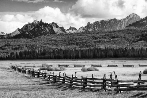 Idaho, Sawtooth NRA Rail fence and landscape Black Ornate Wood Framed Art Print with Double Matting by Flaherty, Dennis