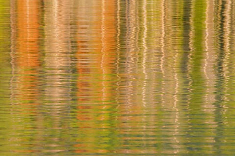 USA, Idaho Reflections on Redfish Lake White Modern Wood Framed Art Print with Double Matting by Paulson, Don