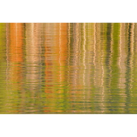 USA, Idaho Reflections on Redfish Lake Black Modern Wood Framed Art Print with Double Matting by Paulson, Don