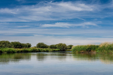 USA-Idaho-Teton River-willows and wetland near Driggs White Modern Wood Framed Art Print with Double Matting by Garber, Howie