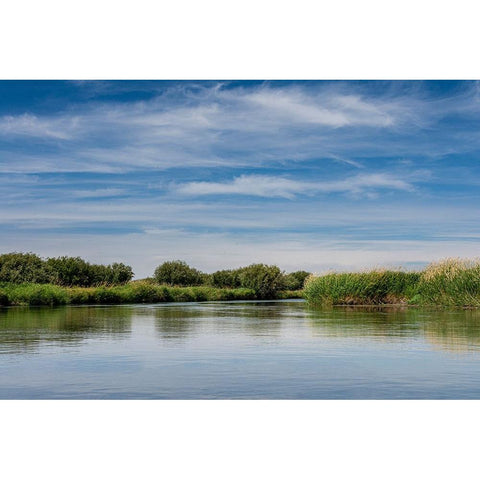 USA-Idaho-Teton River-willows and wetland near Driggs Black Modern Wood Framed Art Print by Garber, Howie