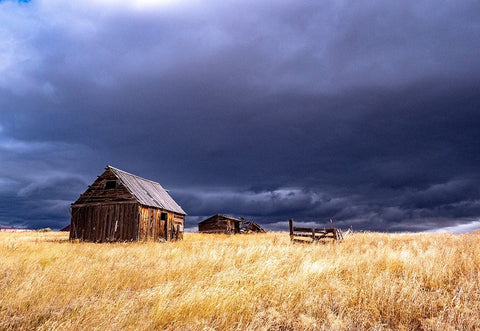 USA-Idaho-Highway 36-Liberty storm passing over old wooden barn Black Ornate Wood Framed Art Print with Double Matting by Gulin, Sylvia