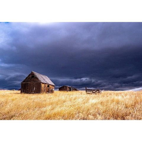 USA-Idaho-Highway 36-Liberty storm passing over old wooden barn Black Modern Wood Framed Art Print by Gulin, Sylvia