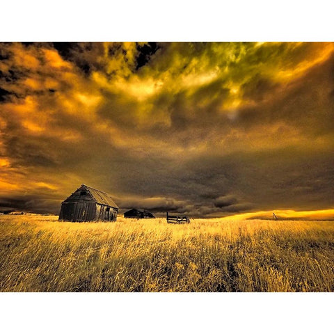 USA-Idaho-Liberty-Infrared of old cabin near Liberty Black Modern Wood Framed Art Print with Double Matting by Eggers, Terry