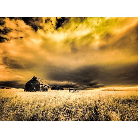 USA-Idaho-Liberty-Infrared of old cabin near Liberty Black Modern Wood Framed Art Print by Eggers, Terry