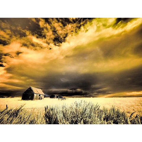 USA-Idaho-Liberty-Infrared of old cabin near Liberty Black Modern Wood Framed Art Print with Double Matting by Eggers, Terry