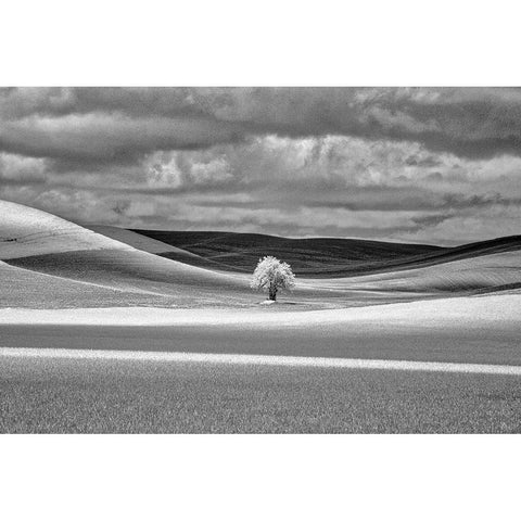 USA-Idaho-Palouse Country-Lone tree and Infrared Palouse fields Gold Ornate Wood Framed Art Print with Double Matting by Eggers, Terry