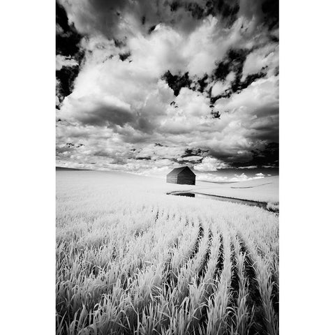 Infrared Palouse fields and barn-PR Black Modern Wood Framed Art Print with Double Matting by Eggers, Terry
