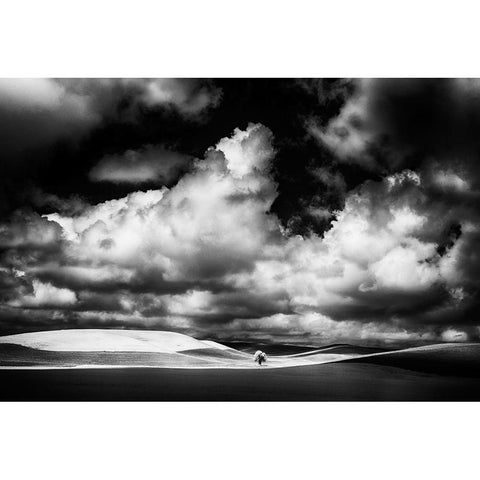 USA-Idaho-Palouse Country-Small tree in wheat field with Running light White Modern Wood Framed Art Print by Eggers, Terry