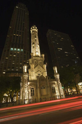 Illinois, Chicago Water Tower on Michigan Avenue Black Ornate Wood Framed Art Print with Double Matting by Flaherty, Dennis