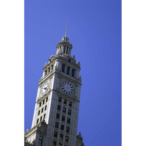 USA, Illinois, Chicago Top of Wrigley Building Black Modern Wood Framed Art Print with Double Matting by Flaherty, Dennis