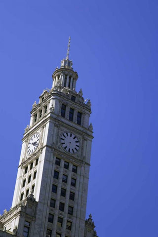 USA, Illinois, Chicago Top of Wrigley Building White Modern Wood Framed Art Print with Double Matting by Flaherty, Dennis