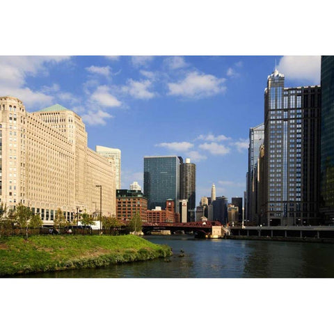 Illinois, Chicago Merchandise Mart in downtown Black Modern Wood Framed Art Print with Double Matting by Flaherty, Dennis