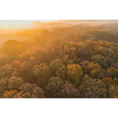 Aerial View of fall Color at sunrise-Marion County-Illinois Gold Ornate Wood Framed Art Print with Double Matting by Day, Richard and Susan