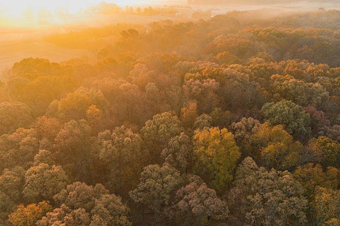 Aerial View of fall Color at sunrise-Marion County-Illinois White Modern Wood Framed Art Print with Double Matting by Day, Richard and Susan