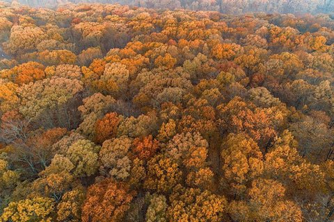 Aerial View of fall Color at sunrise-Marion County-Illinois White Modern Wood Framed Art Print with Double Matting by Day, Richard and Susan