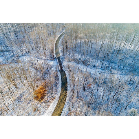 Aerial view of forest and road after snowfall in winter Stephen A Forbes State Recreation Area Black Modern Wood Framed Art Print by Day, Richard and Susan