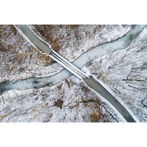 Aerial view of winter forest-bridge-and creek Stephen A Forbes State Park-Marion County-Illinois Gold Ornate Wood Framed Art Print with Double Matting by Day, Richard and Susan