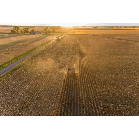 Aerial view of combine harvesting corn field at sunset-Marion County-Illinois Black Modern Wood Framed Art Print with Double Matting by Day, Richard and Susan