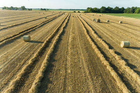 Aerial view of rows of wheat straw before baling and round bales-Marion County-Illinois Black Ornate Wood Framed Art Print with Double Matting by Day, Richard and Susan