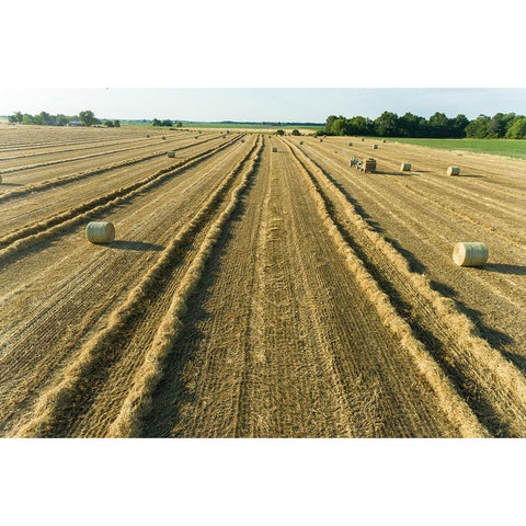 Aerial view of rows of wheat straw before baling and round bales-Marion County-Illinois Black Modern Wood Framed Art Print by Day, Richard and Susan