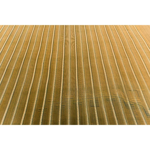 Aerial view of rows of wheat straw before baling-Marion County-Illinois Gold Ornate Wood Framed Art Print with Double Matting by Day, Richard and Susan