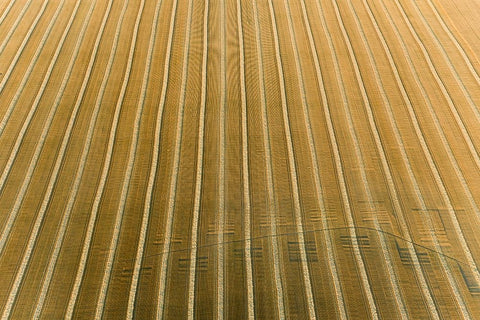 Aerial view of rows of wheat straw before baling-Marion County-Illinois White Modern Wood Framed Art Print with Double Matting by Day, Richard and Susan