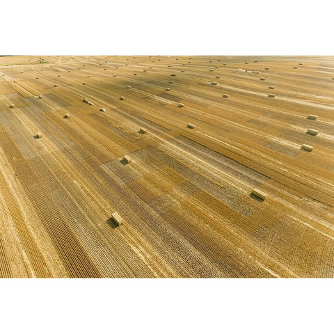 Aerial view of large square bales of wheat straw in field-Clay County-Illinois Black Modern Wood Framed Art Print with Double Matting by Day, Richard and Susan