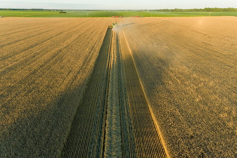 Aerial view of combine harvesting wheat at sunset-Marion County-Illinois Black Ornate Wood Framed Art Print with Double Matting by Day, Richard and Susan