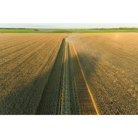 Aerial view of combine harvesting wheat at sunset-Marion County-Illinois Black Modern Wood Framed Art Print with Double Matting by Day, Richard and Susan