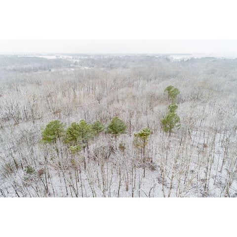 Aerial view of a fresh snow over the forest-Marion County-Illinois Black Modern Wood Framed Art Print by Day, Richard and Susan