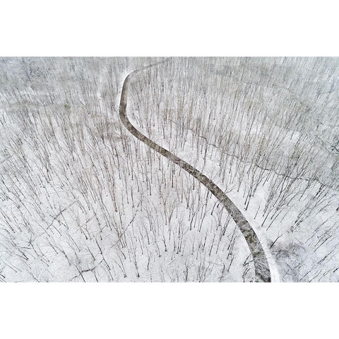 Aerial view of a fresh snow over the forest and road-Marion County-Illinois Black Modern Wood Framed Art Print by Day, Richard and Susan