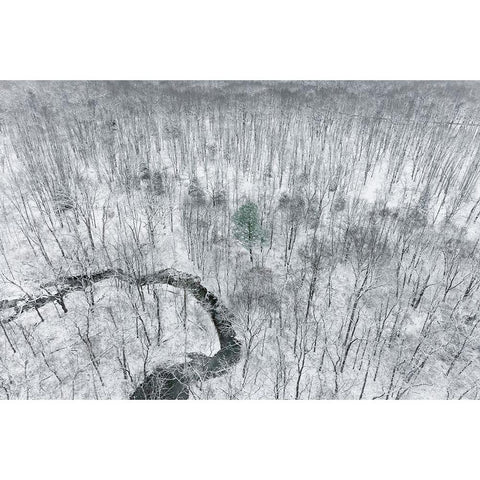 Aerial view of woods after a snowfall-Marion County-Illinois White Modern Wood Framed Art Print by Day, Richard and Susan