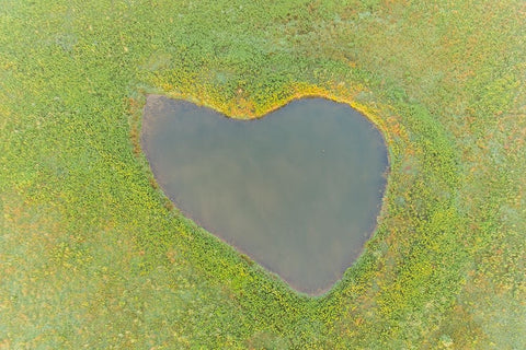 Heart shaped pond-Marion County-Illinois White Modern Wood Framed Art Print with Double Matting by Day, Richard and Susan